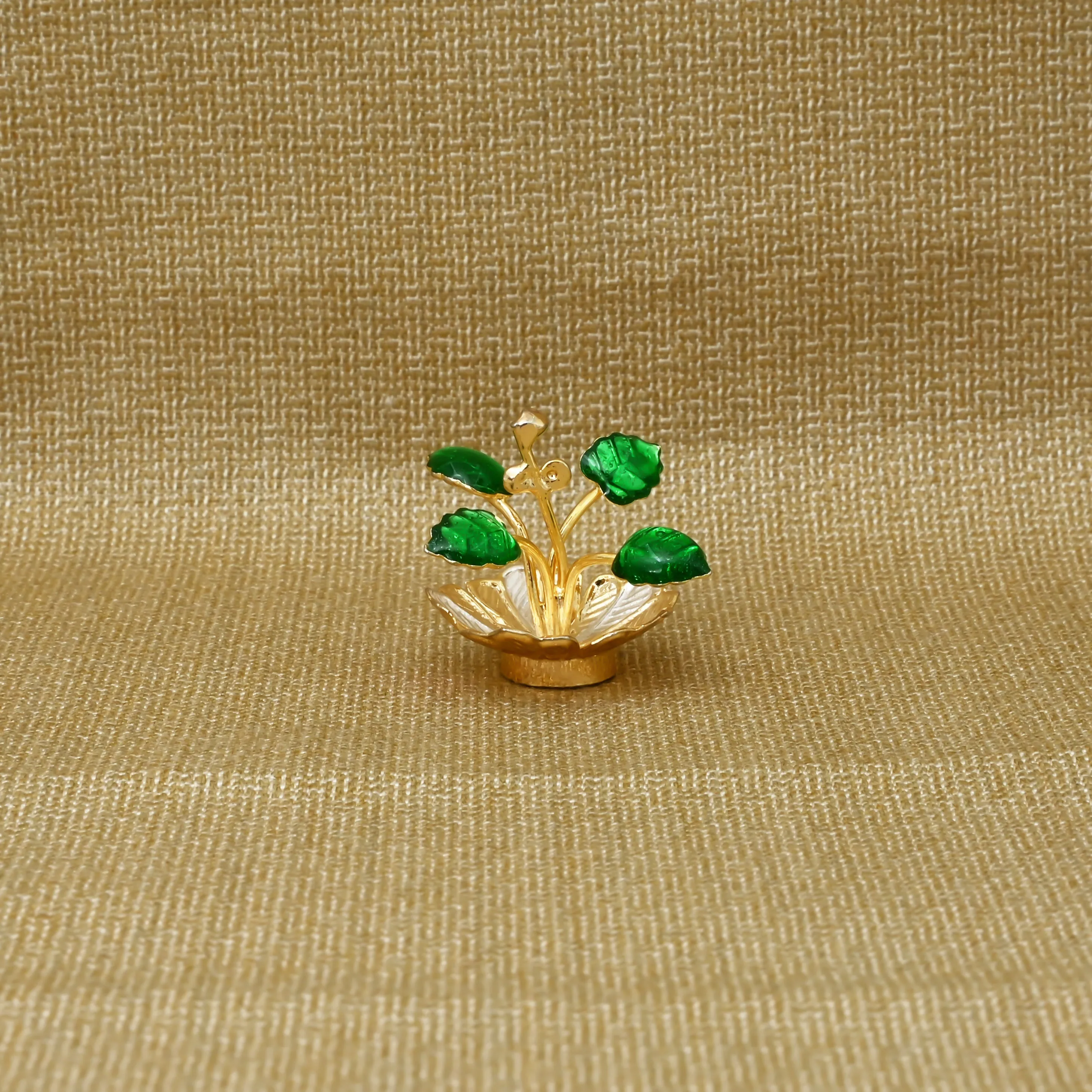 Bring a Sense of Peace and Devotion to Your Life with Our Loving Tulsi Plant